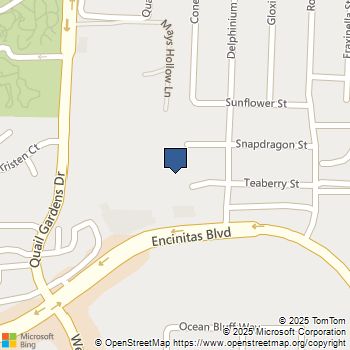 706 TEABERRY Street Encinitas, CA MLS# NDP2400272