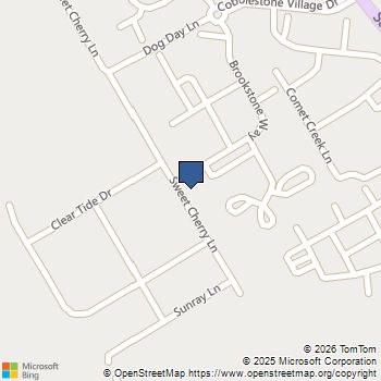 236 Sweet Cherry Lane Summerville, SC MLS# 25033258