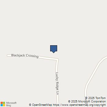 204 Blackjack Crossing Boyd, TX MLS# 21108569