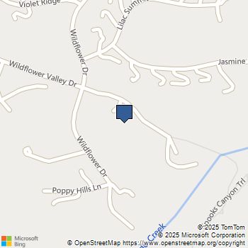 3331 Wildflower Valley Drive Encinitas, CA MLS# NDP2406262