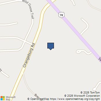 127 Blowing Leaf Lane Summerville, SC MLS# 26002521