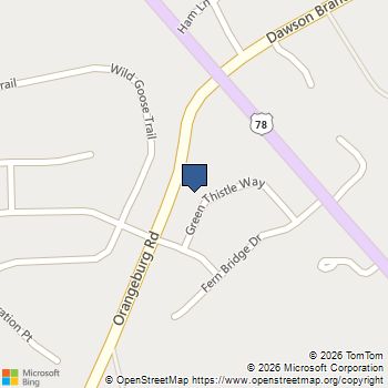119 Green Thistle Way Summerville, SC MLS# 26024021