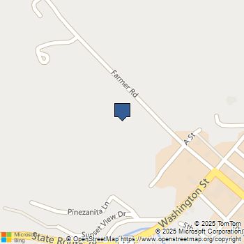 Pinezanita Lane Julian, CA MLS# 250038198SD