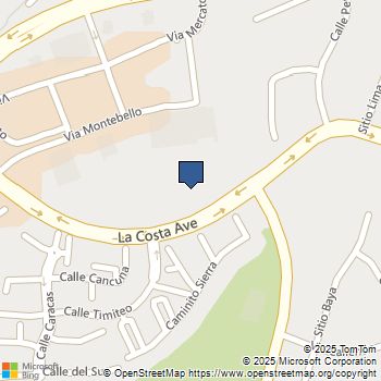 3519 Via Nido Carlsbad, CA MLS# SW25195171