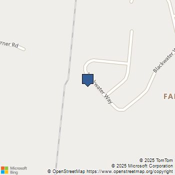 156 Blackwater Way Moncks Corner, SC MLS# 25030445