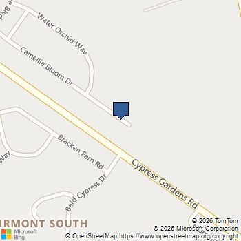 373 Camellia Bloom Drive Moncks Corner, SC MLS# 26018635
