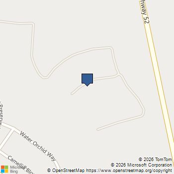 731 Blue Mistflower Drive Moncks Corner, SC MLS# 26005338