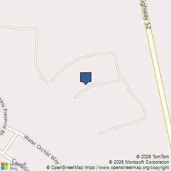 724 Blue Mistflower Drive Moncks Corner, SC MLS# 26005346