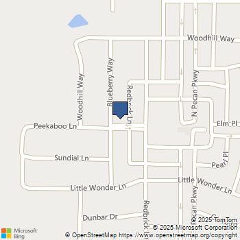 915 Blueberry Way Justin, TX MLS# 21134799