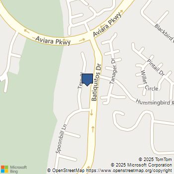 7166 Tern Pl Carlsbad, CA MLS# 250043505SD