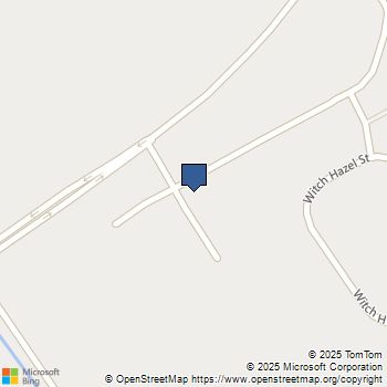 376 Tiliwa Street Summerville, SC MLS# 25030229