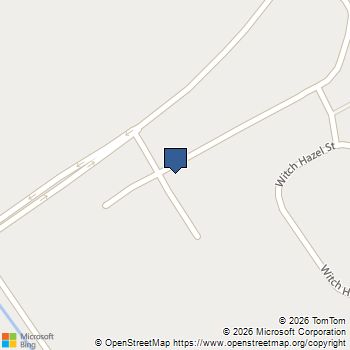 376 Tiliwa Street Summerville, SC MLS# 25030229