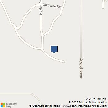 141 Haylee Drive Paradise, TX MLS# 21128538