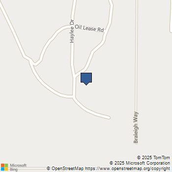 137 Haylee Drive Paradise, TX MLS# 21128542