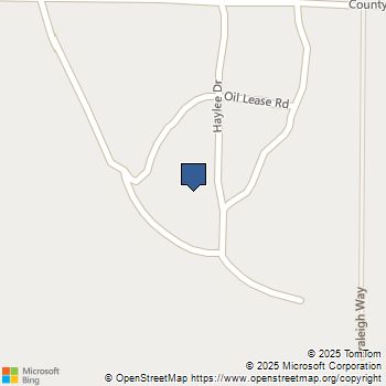 134 Haylee Drive Paradise, TX MLS# 21128546