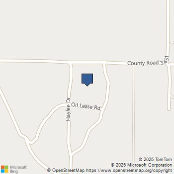 113 Haylee Drive Paradise, TX MLS# 21128547