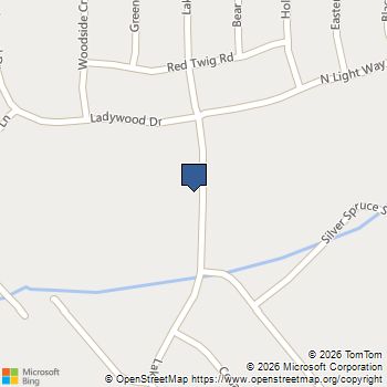 209 Hawk Tail Court Summerville, SC MLS# 26007451