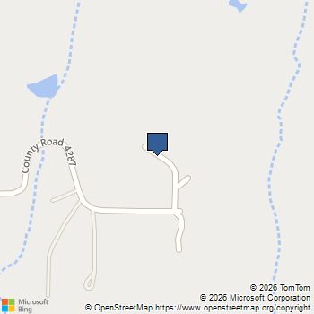 459 County Road 4287 Decatur, TX MLS# 21253608