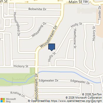 8579 Holly Street Frisco, TX MLS# 21354811