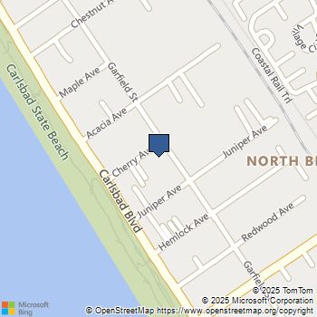 187 Cherry Ave Carlsbad, CA MLS# 250043583SD