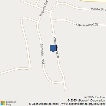 2056 White Birch Drive Vista, CA MLS# NDP2509294