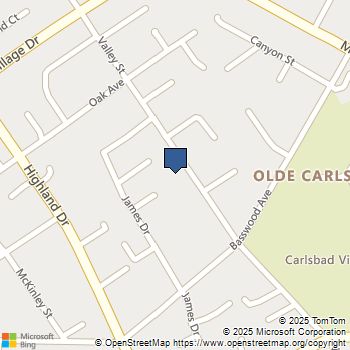 3245 Valley Street Carlsbad, CA MLS# 250042008SD