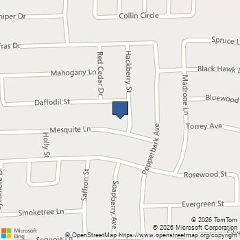 408 Hackberry Street Princeton, TX MLS# 21348383