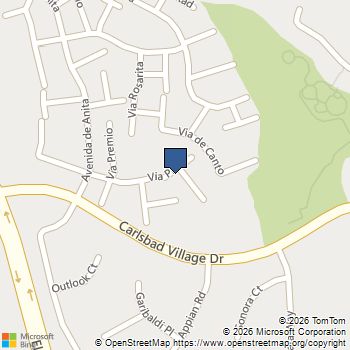 3201 VIA PESCADO Carlsbad, CA MLS# 260004223SD