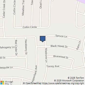 254 Madrone Lane Princeton, TX MLS# 21122366