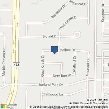 3116 Fox Hollow Drive Little Elm, TX MLS# 21255397