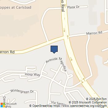 2336 Hosp Way 314 Carlsbad, CA MLS# NDP2510182