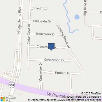 312 Crosscreek Drive Princeton, TX MLS# 21139064