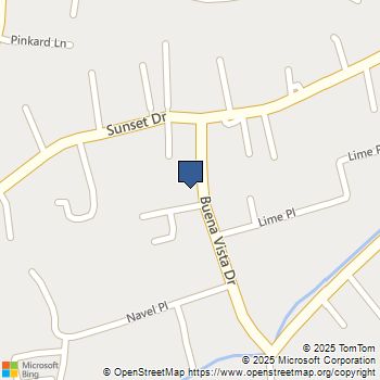 1037 Buena Vista Drive Vista, CA MLS# 250026280SD