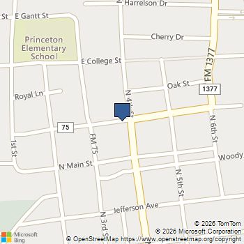 FM75 Mckinney Princeton, TX MLS# 21168636