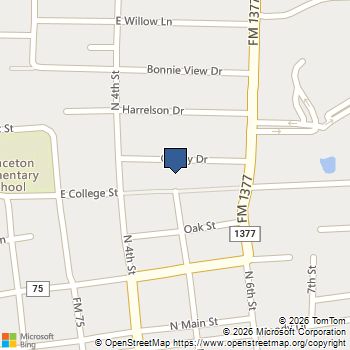 421 Cherry Drive Princeton, TX MLS# 21160281