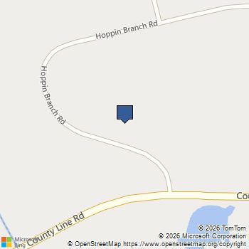 309 Hoppin Branch Road Griffin, GA MLS# 10717491