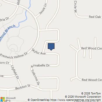 11512 Skylor Avenue McKinney, TX MLS# 21243452