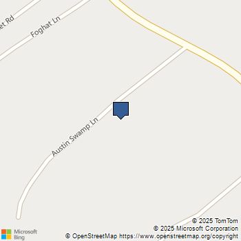 344 Austin Swamp Lane Ridgeville, SC MLS# 25028439