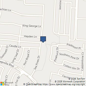 1308 Sea Pines Drive Savannah, TX MLS# 21424153