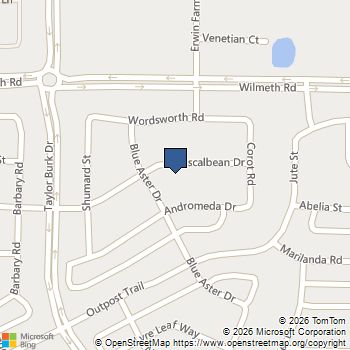 3509 Mescalbean Drive McKinney, TX MLS# 21209257