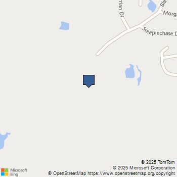 3172 Burmese Street Providence Village, TX MLS# 21141135