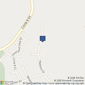 29825 Platanus Dr Escondido, CA MLS# 250027180SD