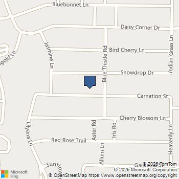 1514 Carnation Street Celina, TX MLS# 21282867