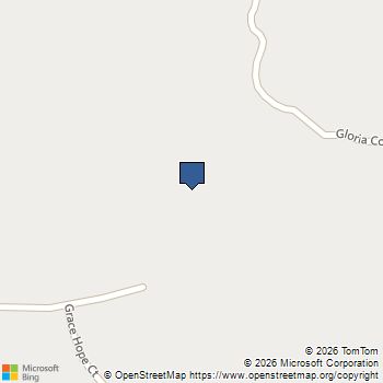 296 Grove Park Senoia, GA MLS# 10691921