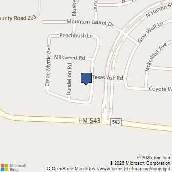 7117 Black Cherry Lane McKinney, TX MLS# 21167266