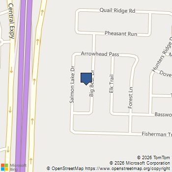 287 Big Bear Drive Melissa, TX MLS# 21406424