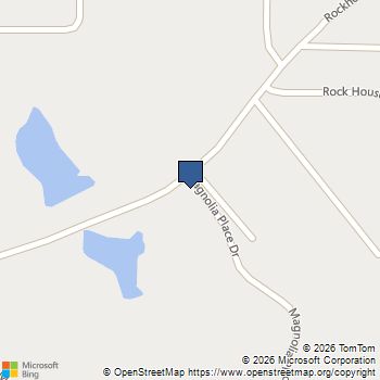 20 Black Forest way 2 Senoia, GA MLS# 10834477
