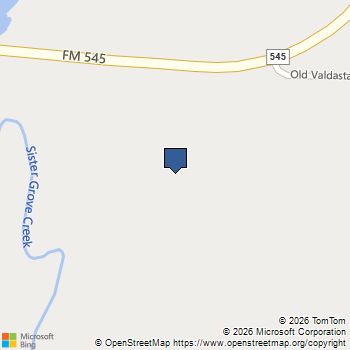 7150 Old Valdasta Road Blue Ridge, TX MLS# 21178744