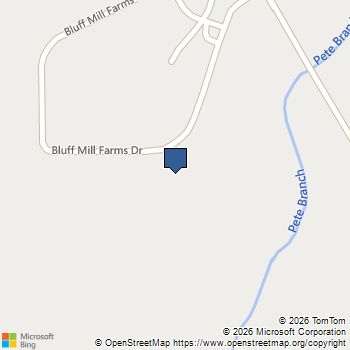 132 Bluff Mill Farm Drive Senoia, GA MLS# 7733411