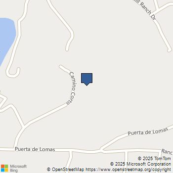 1560 Camino Corto Fallbrook, CA MLS# NDP2500444